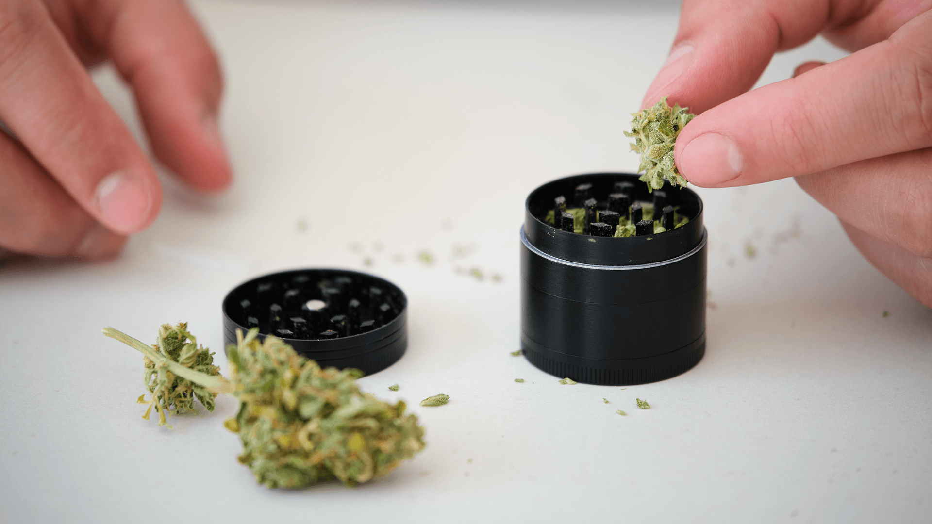 How to Choose the Right Cannabis Grinder